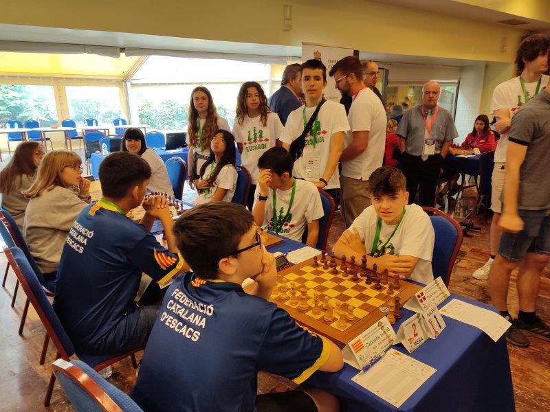 e803bb28-b447-46a1-adcf-7557f95e00c7